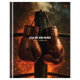 Дневник 1-11 кл. 40л. (твердый) BG "Бокс", матовая ламинация