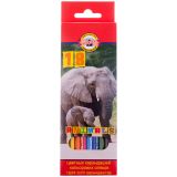 Карандаши цветные Koh-I-Noor "Животные", 18цв., заточен., картон, европодвес