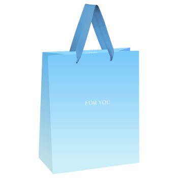 Пакет подарочный 18*23*10см MESHU 