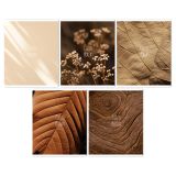 Тетрадь 96л., А5, клетка BG "Успокоиться", суперэконом