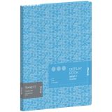 Папка с 20 вкладышами Berlingo "Starlight S" А4, 17мм, 600мкм, голубая, с внутр. карманом, с рисунком