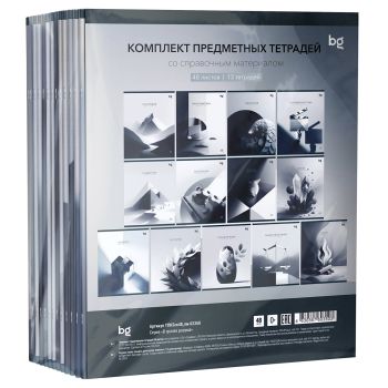 Комплект (13 шт.) предметных тетрадей 48л., BG 