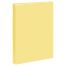 Папка с 40 вкладышами СТАММ А4, 21мм, 500мкм, пластик, пастель, желтая