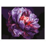 Картина по номерам на картоне ТРИ СОВЫ "Сиреневый пион", 30*40, с акриловыми красками и кистями