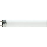 Лампа люминесцентная OSRAM G13 18W/640 (короткая)