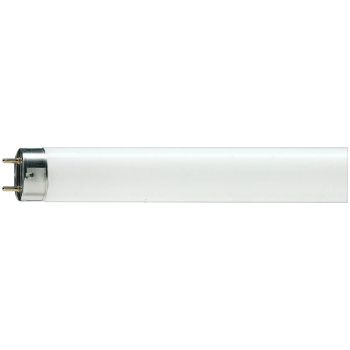 Лампа люминесцентная OSRAM G13 18W/640 (короткая)