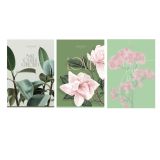 Тетрадь 80л., А4, клетка BG "Флора", матовая ламинация