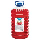 Мыло жидкое Vega "Малина", 5л, ПЭТ