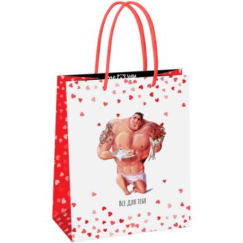 Пакет подарочный 18*23*10см MESHU 