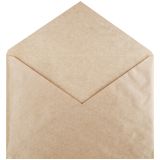 Конверт C4, Ряжская печатная фабрика, 229*324мм, крафт, без клея