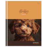 Дневник 1-4 кл. 48л. (твердый) BG "Пушистый", матовая ламинация