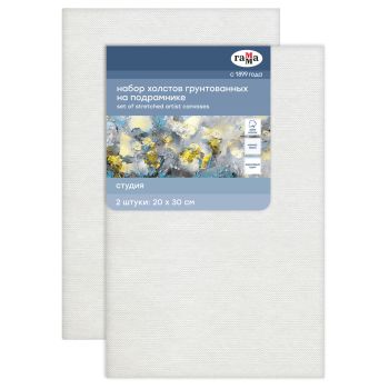 Набор холстов на подрамнике Гамма 