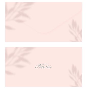 Конверт для денег MESHU 